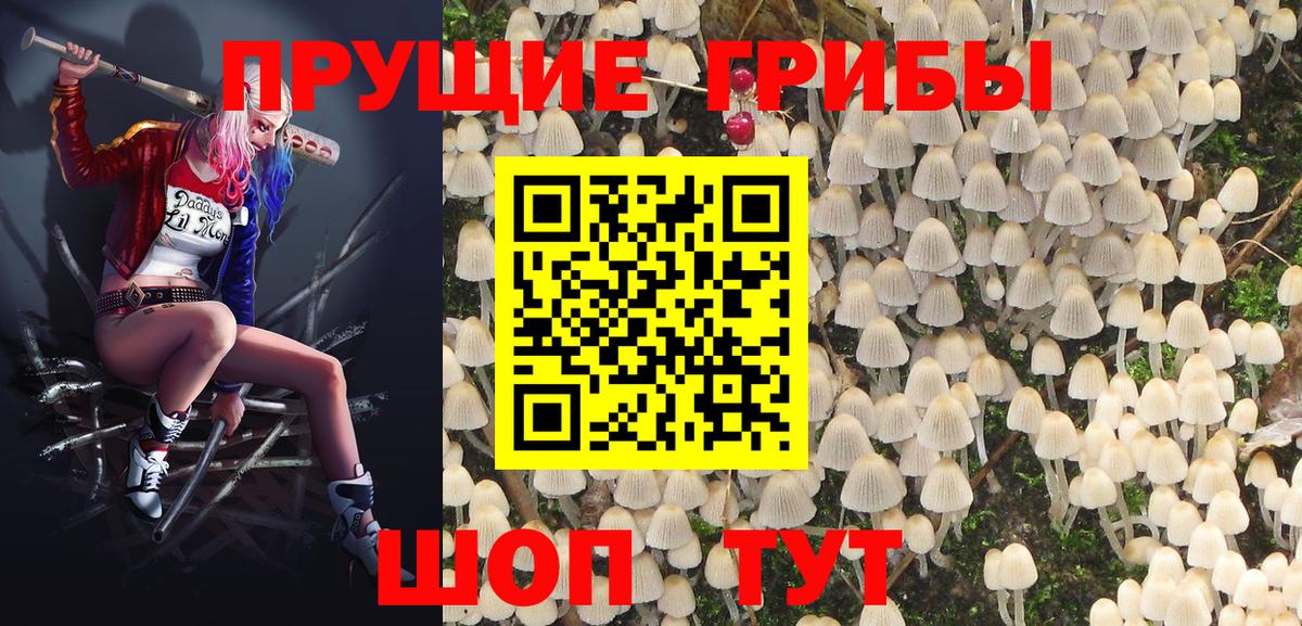 Псилоцибиновые грибы Cubensis Кинешма