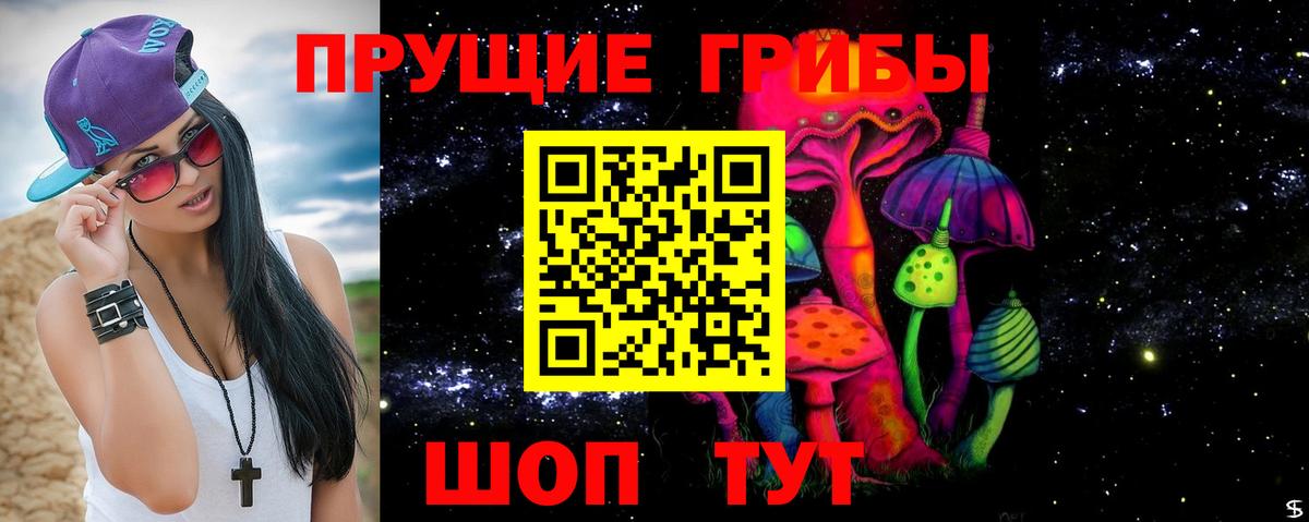 Галлюциногенные грибы Psilocybe  где купить наркоту  Вход с VPN  Кинешма  Псилоцибиновые грибы ЛСД 